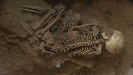 Forscher erstaunt: Ritterskelett unter polnischem Eiscafé entdeckt