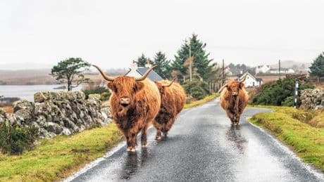 'I travelled to the Scottish island no one talks about and found something magical'