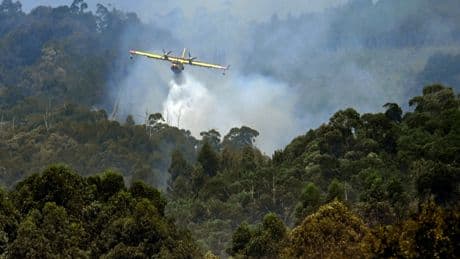 Incendies en Espagne et au Portugal : quatre morts et un espoir de répit après deux semaines de feu