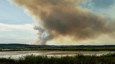 Incendie dans l’Aude : le suspect, qui transportait un barbecue mal éteint, mis en examen et placé en détention provisoire