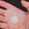 Un "orage supercellulaire a frappé le Puy-de-Dôme, provoquant des dégâts dans l'est du département