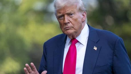 "Può consumare la sua presidenza". Perché Trump rischia sul caso Epstein