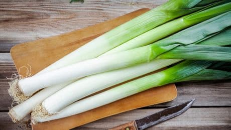 Porree richtig schneiden: So waschen und verarbeiten Sie Lauch richtig