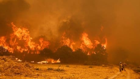 Brand-Katastrophe in Spanien - Deutsche Feuerwehr kämpft gegen die Flammen