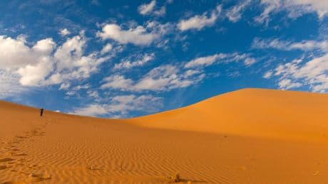 Woestijnland Saoedi-Arabië importeert zand uit Australië: ’De wereld staat voor een zandcrisis’
