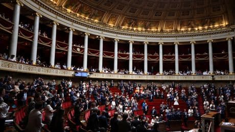 Environnement : le Parlement adopte la loi Duplomb et enchaîne avec le texte Gremillet