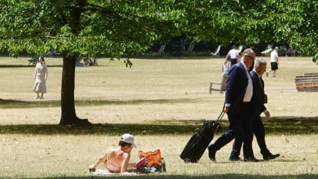 Spending just 15 minutes in nature can have this surprising health benefit
