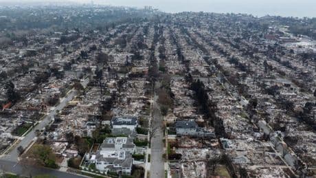 Taming Wild Fires Before They Spiral - Part 1: Solutions