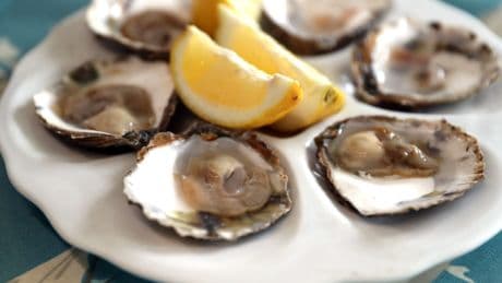 UK oysters and mussels hit by ‘disgustingly high’ number of sewage spills