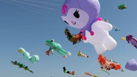 "Trakya Uçurtma Festivali" başladı