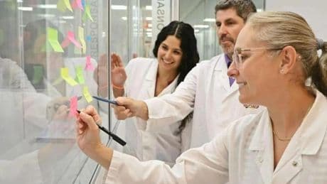 El Pozo Alimentación clausura con éxito sus Grupos de Mejora con más de 200 ideas innovadoras
