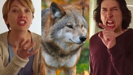 Scarlett Johansson ve Adam Driver’ın meşhur sahnesi, ABD'de kurtları kovalıyor