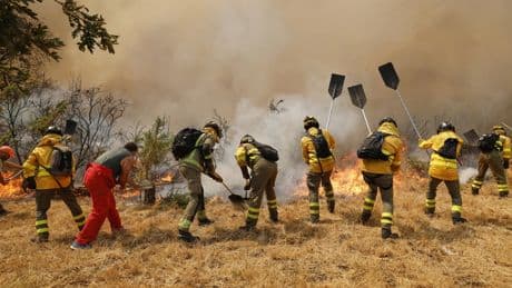 Waldbrände: Hat Spanien beim Brandschutz versagt?