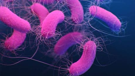 La IA descubre una nueva arma para combatir las bacterias resistentes a los antibióticos
