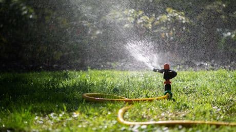 Marmeladenglas-Trick: So stellen Sie fest, ob Ihr Rasen genügend Wasser hat