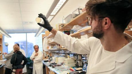 Reversing the brain drain: Can Europe successfully woo scientists amid US research cuts?