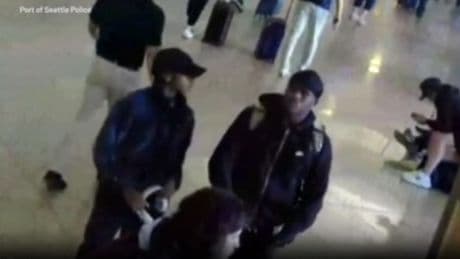 Security video shows Olympic gold medallist attacking boyfriend at airport