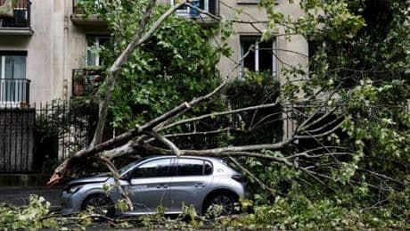 Orages : entre 500 et 1 000 arbres « sévèrement touchés » à Paris, principalement dans le 16e arrondissement