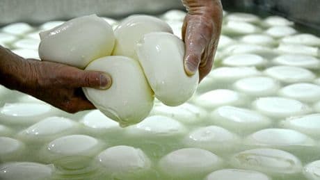 Mozzarelle ritirate dai supermercati per presenza di metallo: i cinque lotti segnalati dal ministero della Salute, ecco quali sono