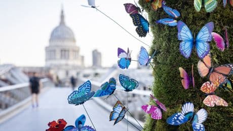 Parents who lost children to cancer ring St Paul’s bells in their memory