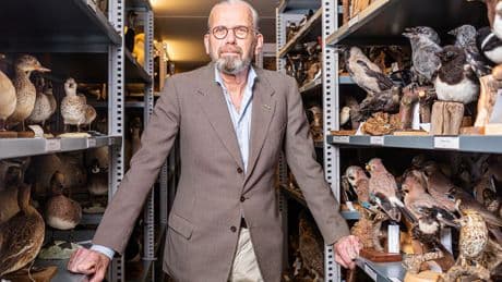Ook een alledaagse vogel als de zanglijster heeft iets te vertellen: dat het slecht gaat met de natuur