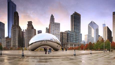 Nobody is trapped inside Chicago's Bean sculpture, officials insist after protesters claim someone has been stuck in there for 21 years