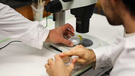 Six conseils pour limiter son exposition quotidienne aux microplastiques