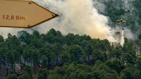 Arden 2.500 hectáreas en Las Hurdes y el viento agrava el incendio en Ávila