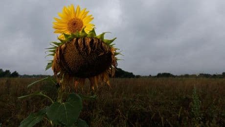 Wetter-Mix: Regen, Wolken und einzelne Gewitter in Hessen