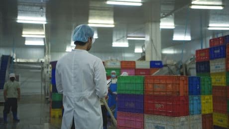 Alle Mitarbeiter gekündigt: Bekannter Hersteller schließt großes Werk in Deutschland