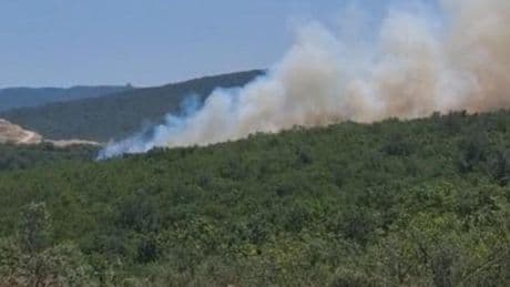 Bursa'da orman yangını! Karadan ve havadan müdahale ediliyor