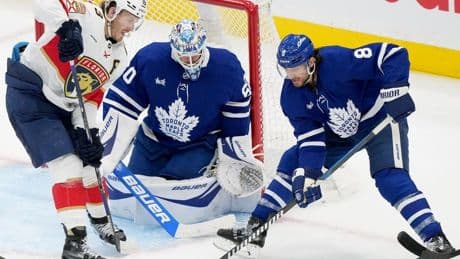 Florida library claps back at Toronto's after being trolled over Leafs hockey win