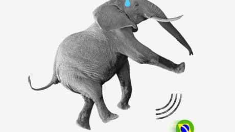 Brasil: una postura valiente frente a la arrogancia de Trump