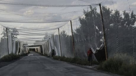 Ukraine-Krieg: Vance: Kreml kommt entgegen