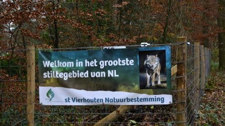 Hond gegrepen door wolf bij bos Vierhouten