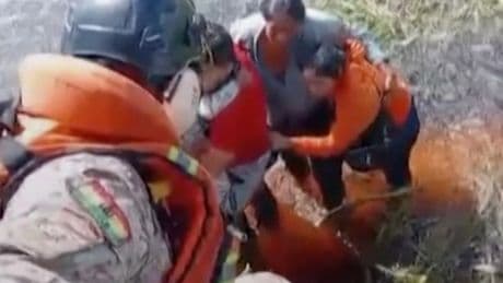 Plane crashes in alligator-infested swamp as survivors perch on top for 36 hours