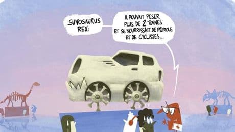 Diane Strauss : « L’avenir, c’est moins de voitures en ville et des voitures électriques en zone rurale »
