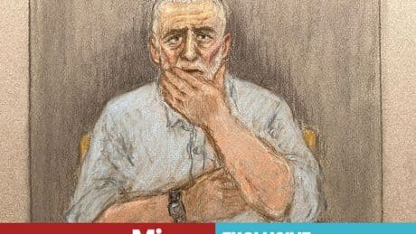 Peter Sullivan faces 'terrifying risk' after wrongfully spending 38 years in jail for murder