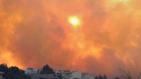 Griechenland: Waldbrände bei Athen greifen auf Häuser über