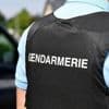Après un accident et un délit de fuite, le jeune conducteur affirme avoir percuté « un lapin »