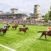 Prix du Jockey Club et Prix de Diane 2025 : deux sommets du galop en approche à Chantilly