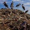 Verbrand en gedumpt in Turkije: hoe Nederlandse ondernemers sjoemelen met plastic afval