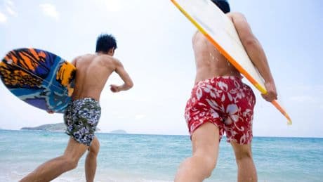 Offenbach: Mann in Hawaii-Hose tötet Schaf und flüchtet