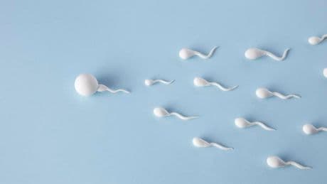 How A Rare Mutation Exposed Weaknesses In Sperm Donation Oversight