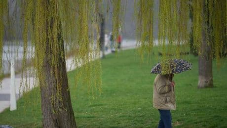 Wetter zum Ende der Woche: Regen und Gewitter in Rheinland-Pfalz und dem Saarland