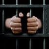 'Stop letting criminals choose their own gender', UN warns after UK police forces allow 49 rapists to identify as female offenders
