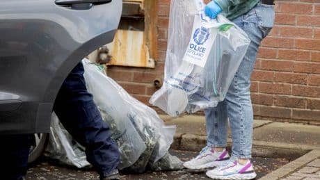 Cannabis farm raided by cops as drugs worth £1.4 million seized in raids across Scotland