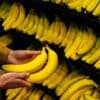 Klimaatcrisis bedreigt wereldwijde banaanproductie
