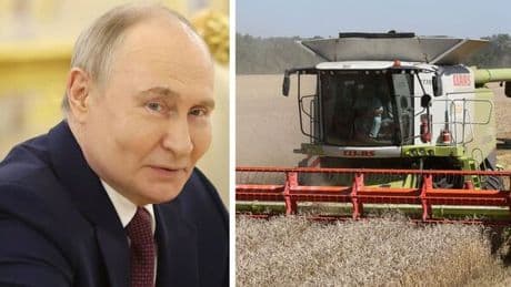 Russia nightmare as farmers 'seriously damaged' and key market slumps by 32.9%
