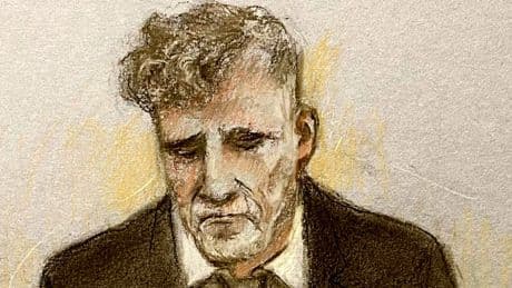 Liverpool parade crash suspect Paul Doyle accused in court of ‘using vehicle as a weapon’